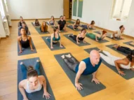 {{brizy_dc_image_alt entityId=